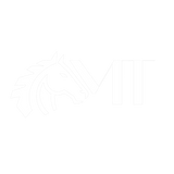 MT Financial Consulting